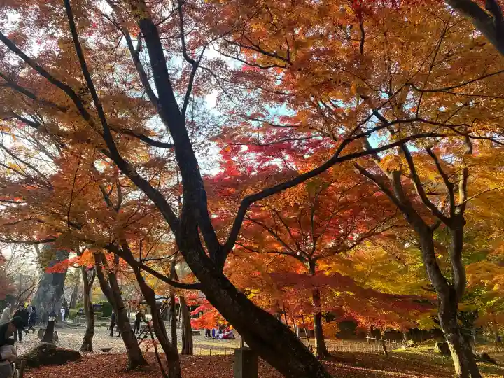 懐古神社の{uncategorized: "未分類", other: "その他", undefined: "問題あり", building: "その他建物", grave: "お墓", sacred_gate: "鳥居", guardian: "狛犬", statue: "像", buddha: "仏像", history: "歴史", nature: "自然", garden: "庭園", animal: "動物", pagoda: "塔", temizu: "手水舎", mountain_gate: "山門・神門", sanctuary: "本殿・本堂", subordinate: "末社・摂社", art: "芸術", scenery: "景色", jizo: "地蔵", ema: "絵馬", goshuin: "御朱印", omikuji: "おみくじ", items: "授与品その他", amulet: "お守り", goshuincho: "御朱印帳", eats: "食事", festival: "お祭り", votive_dance: "神楽", shichigosan: "七五三参", wedding: "結婚式", experience: "体験その他", initially: "初詣", around: "周辺", anti_infection: "感染症対策"}