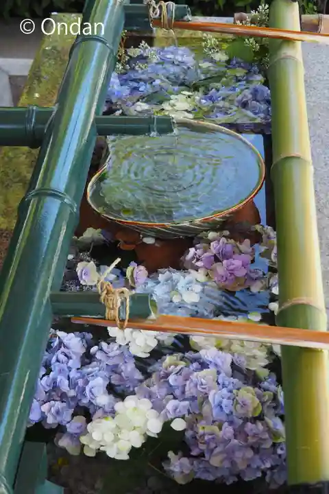 伊和志津神社(兵庫県)
