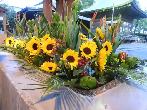 宮地嶽神社の手水舎