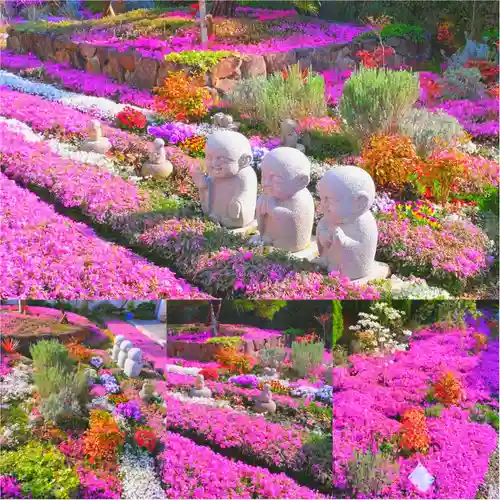 寿量山　速成寺(奈良県)