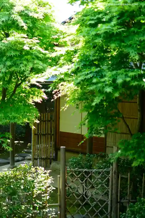 石歴山 妙勝寺の庭園