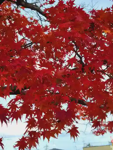 長岡天満宮(京都府)