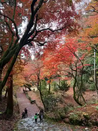 鶏足寺の{uncategorized: "未分類", other: "その他", undefined: "問題あり", building: "その他建物", grave: "お墓", sacred_gate: "鳥居", guardian: "狛犬", statue: "像", buddha: "仏像", history: "歴史", nature: "自然", garden: "庭園", animal: "動物", pagoda: "塔", temizu: "手水舎", mountain_gate: "山門・神門", sanctuary: "本殿・本堂", subordinate: "末社・摂社", art: "芸術", scenery: "景色", jizo: "地蔵", ema: "絵馬", goshuin: "御朱印", omikuji: "おみくじ", items: "授与品その他", amulet: "お守り", goshuincho: "御朱印帳", eats: "食事", festival: "お祭り", votive_dance: "神楽", shichigosan: "七五三参", wedding: "結婚式", experience: "体験その他", initially: "初詣", around: "周辺", anti_infection: "感染症対策"}
