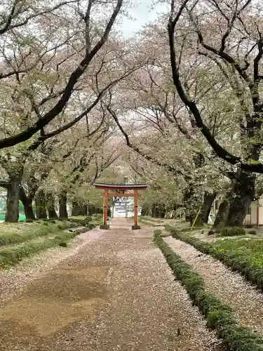 東蕗田天満社の{uncategorized: "未分類", other: "その他", undefined: "問題あり", building: "その他建物", grave: "お墓", sacred_gate: "鳥居", guardian: "狛犬", statue: "像", buddha: "仏像", history: "歴史", nature: "自然", garden: "庭園", animal: "動物", pagoda: "塔", temizu: "手水舎", mountain_gate: "山門・神門", sanctuary: "本殿・本堂", subordinate: "末社・摂社", art: "芸術", scenery: "景色", jizo: "地蔵", ema: "絵馬", goshuin: "御朱印", omikuji: "おみくじ", items: "授与品その他", amulet: "お守り", goshuincho: "御朱印帳", eats: "食事", festival: "お祭り", votive_dance: "神楽", shichigosan: "七五三参", wedding: "結婚式", experience: "体験その他", initially: "初詣", around: "周辺", anti_infection: "感染症対策"}