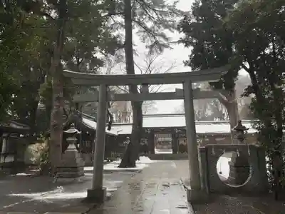 荻窪八幡神社の鳥居