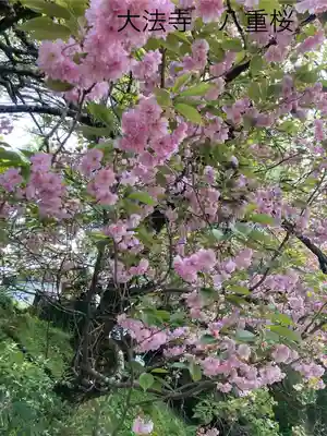 国宝 大法寺(長野県)