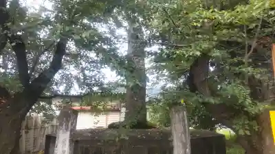 賀茂春日神社(山梨県)