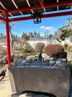 泉竜寺(乙女不動尊)の{uncategorized: "未分類", other: "その他", undefined: "問題あり", building: "その他建物", grave: "お墓", sacred_gate: "鳥居", guardian: "狛犬", statue: "像", buddha: "仏像", history: "歴史", nature: "自然", garden: "庭園", animal: "動物", pagoda: "塔", temizu: "手水舎", mountain_gate: "山門・神門", sanctuary: "本殿・本堂", subordinate: "末社・摂社", art: "芸術", scenery: "景色", jizo: "地蔵", ema: "絵馬", goshuin: "御朱印", omikuji: "おみくじ", items: "授与品その他", amulet: "お守り", goshuincho: "御朱印帳", eats: "食事", festival: "お祭り", votive_dance: "神楽", shichigosan: "七五三参", wedding: "結婚式", experience: "体験その他", initially: "初詣", around: "周辺", anti_infection: "感染症対策"}