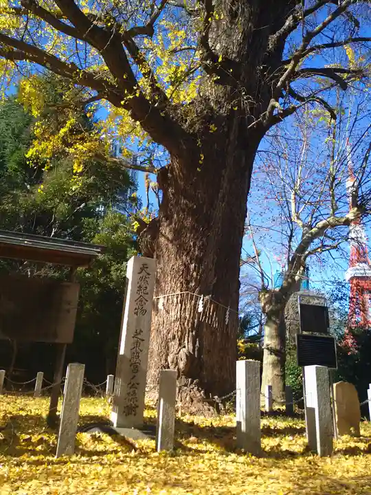 芝東照宮の自然