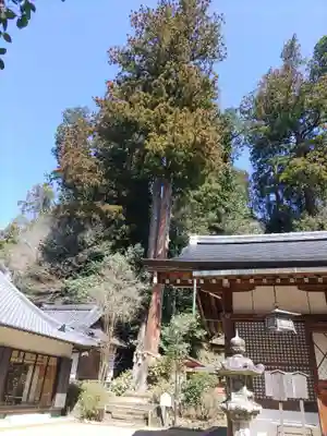 宇太水分神社（中社）(奈良県)