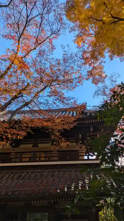 観音寺(山崎聖天)(京都府)