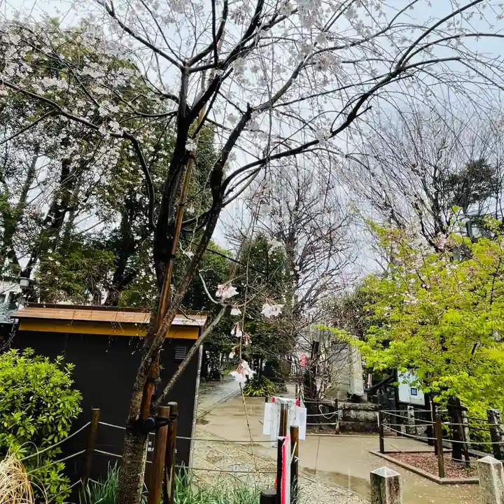鳩森八幡神社の庭園