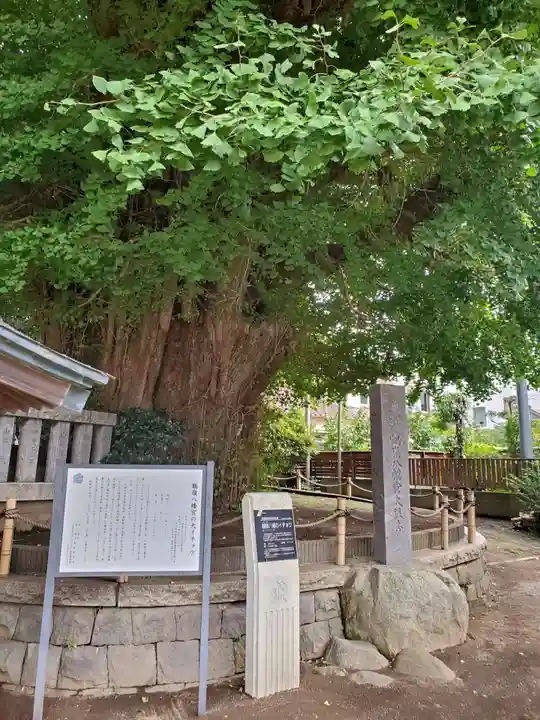 鶴嶺八幡宮(神奈川県)