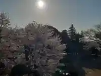 伏木香取神社の自然