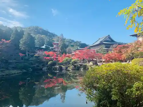 明王院の庭園