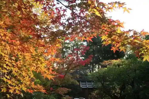 赤山禅院(京都府)