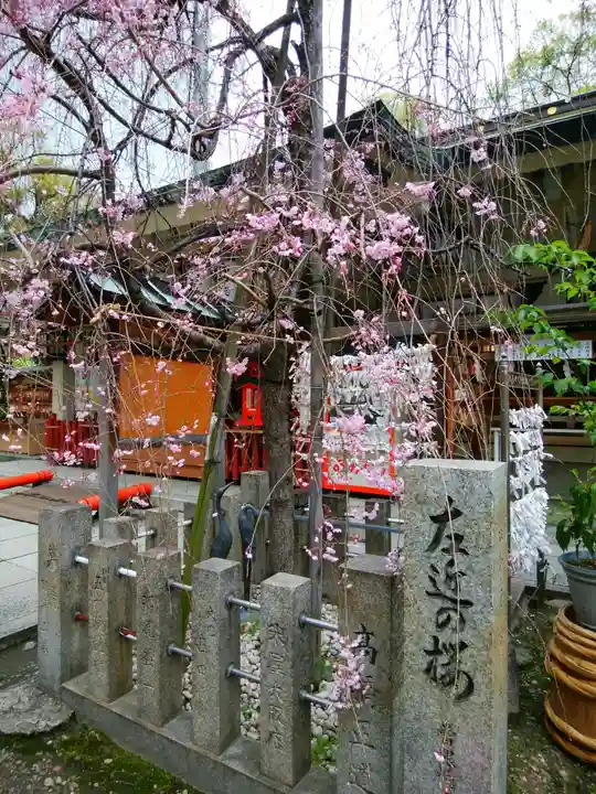 露天神社(お初天神)(大阪府)
