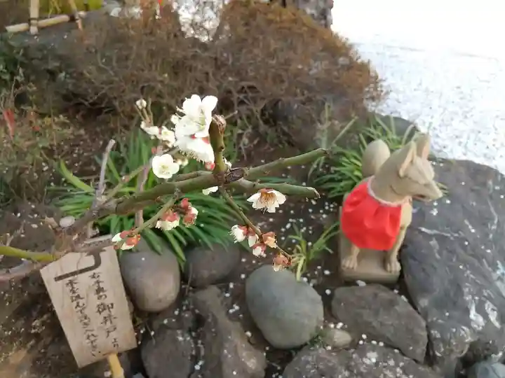 東京羽田 穴守稲荷神社の狛犬