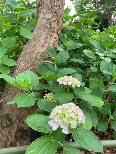 藤森神社の庭園