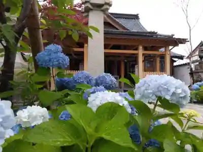 總社 和田八幡宮(福井県)