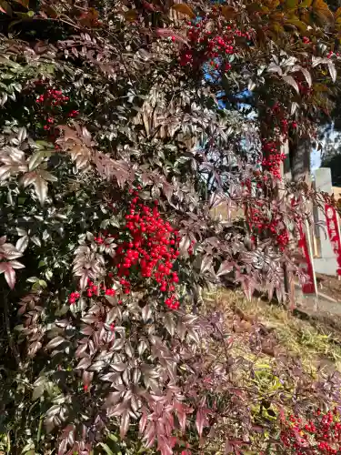 岩戸別神社の{uncategorized: "未分類", other: "その他", undefined: "問題あり", building: "その他建物", grave: "お墓", sacred_gate: "鳥居", guardian: "狛犬", statue: "像", buddha: "仏像", history: "歴史", nature: "自然", garden: "庭園", animal: "動物", pagoda: "塔", temizu: "手水舎", mountain_gate: "山門・神門", sanctuary: "本殿・本堂", subordinate: "末社・摂社", art: "芸術", scenery: "景色", jizo: "地蔵", ema: "絵馬", goshuin: "御朱印", omikuji: "おみくじ", items: "授与品その他", amulet: "お守り", goshuincho: "御朱印帳", eats: "食事", festival: "お祭り", votive_dance: "神楽", shichigosan: "七五三参", wedding: "結婚式", experience: "体験その他", initially: "初詣", around: "周辺", anti_infection: "感染症対策"}