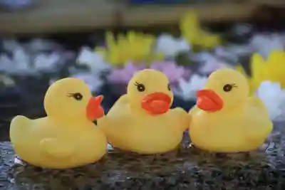 阿邪訶根神社の手水舎