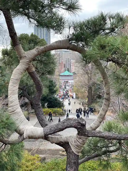 寛永寺不忍池弁天堂(東京都)