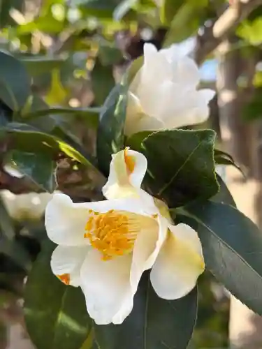 西方山極楽寺(岐阜県)