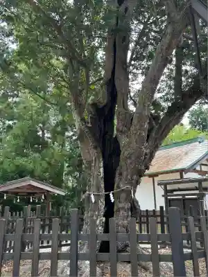 天宮神社(静岡県)