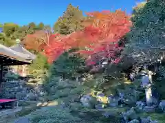 霊鑑寺門跡(京都府)