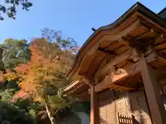 普門寺(切り絵御朱印発祥の寺)の本殿