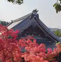 禅林寺(永観堂)の自然