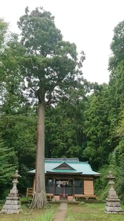 延喜式内 鹿島神社の本殿・本堂