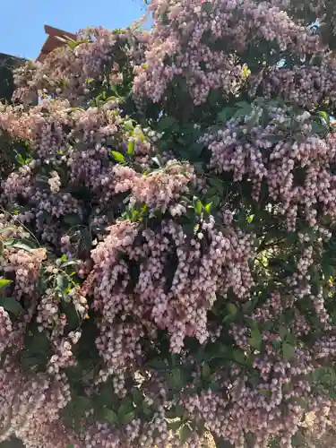 境香取神社の自然