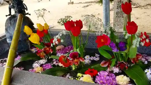 三津厳島神社の手水舎