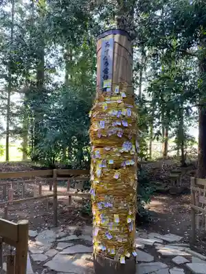 下野 星宮神社(栃木県)