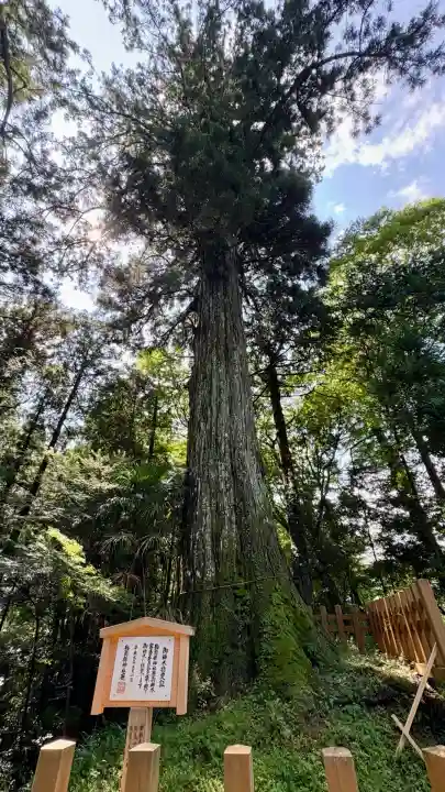 須山浅間神社(静岡県)