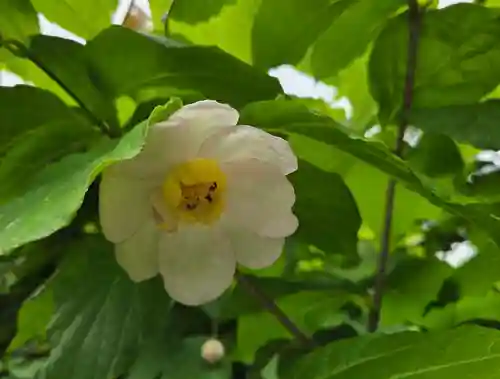 沙沙貴神社(滋賀県)