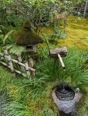 祇王寺(京都府)