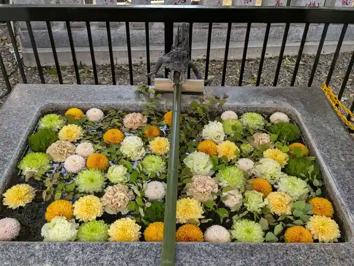 高円寺氷川神社(東京都)