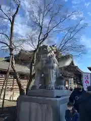 寒川神社の狛犬