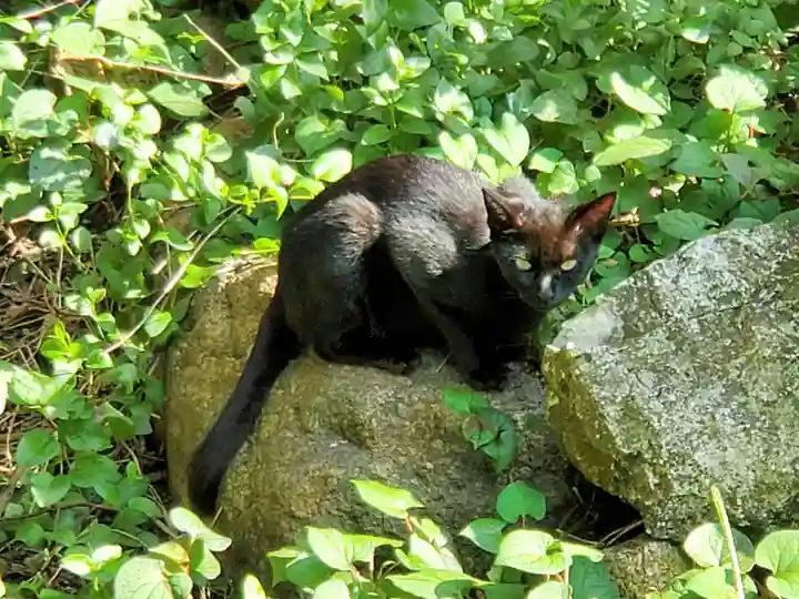 水天神社の動物