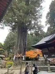 北口本宮冨士浅間神社(山梨県)