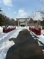 札幌護國神社の鳥居