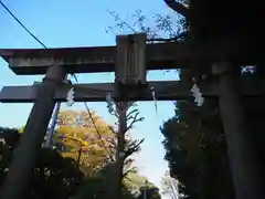 豊玉氷川神社の鳥居