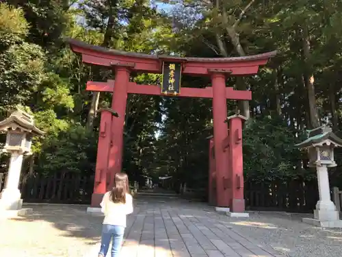 彌彦神社の鳥居