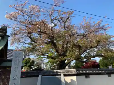 要法寺のその他建物
