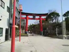 富岡八幡宮の鳥居