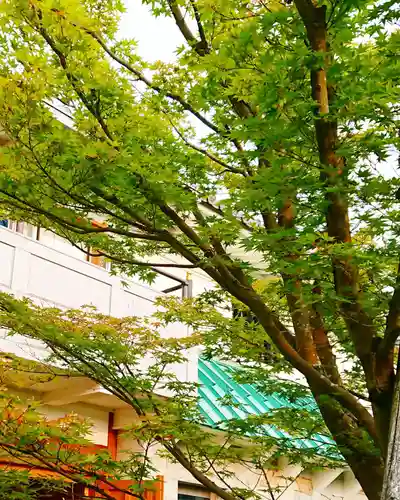 寿量山　速成寺の自然