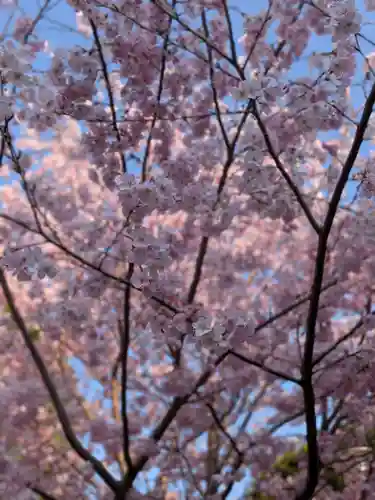 神明氷川神社(東京都)